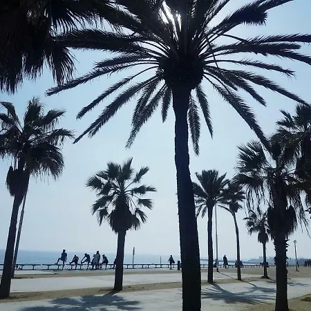 Rambla Poblenou&mar Bella شقة *